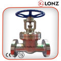 ANSI Stainless Steel Flanged Wedge Gate Valve